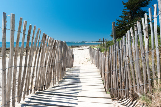 Ganivelles d'acc&egrave;s &agrave; la plage