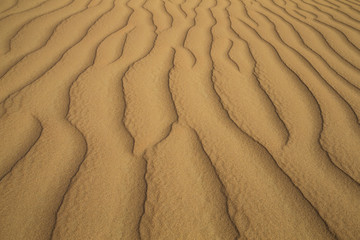 pattern of desert dunes of Empty Quarter