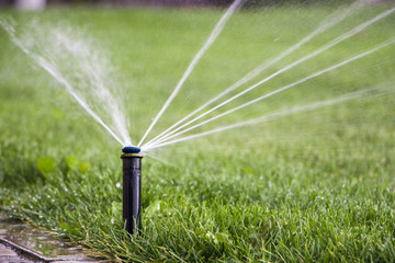 nozzle automatic watering system against a background of green g