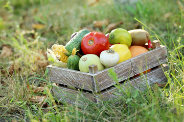 Ripe and tasty fruits and vegetables in basket on the grass