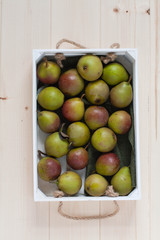 Miniature Seckel pears in a white wooden crate, light wood background 