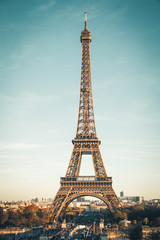 Fototapeta na wymiar The Eiffel tower