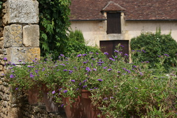 Fototapeta na wymiar château losse
