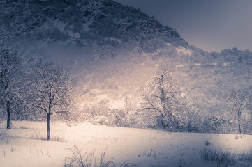 Winter scenery, snowstorm in park