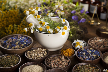 Herbs, berries and flowers with mortar, on wooden table backgrou