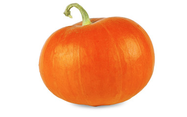orange pumpkin with green stem on a white background