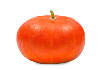 Pumpkin orange on a white background