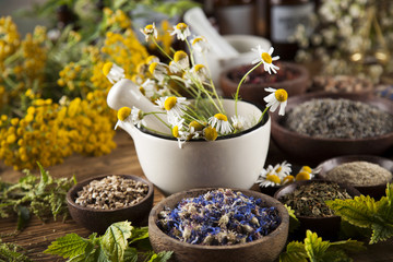 Alternative medicine, dried herbs and mortar on wooden desk back