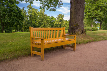 Bench in the park Stopover Palace of Peter I.