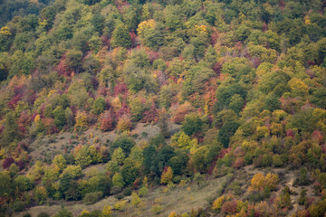 Obraz premium Autumn at Churet, Mazandaran, Iran