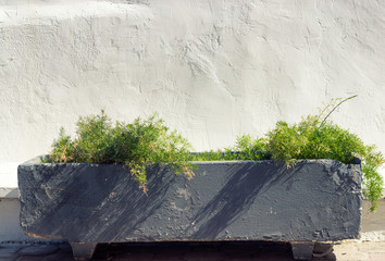 Concrete flowerpot against white wall