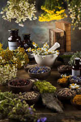 Herbs, berries and flowers with mortar, on wooden table backgrou