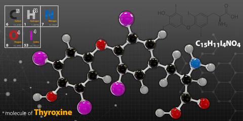Illustration of Thyroxine Molecule isolated gray background