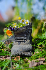 Boot and flowers