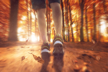 Läufer bei Sonnenschein im Herbstwald 