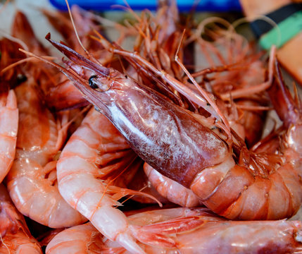 Gamba roja de Roses, del Mediterr&aacute;neo en la pescaderia

