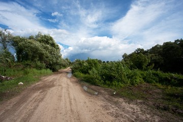 Fototapeta na wymiar dirt road just after the rain
