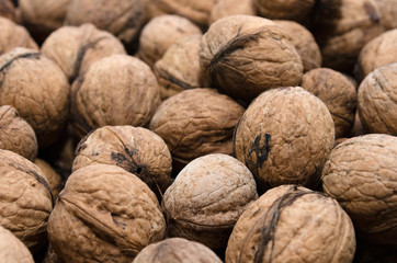 Meny walnuts