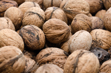 Many walnuts