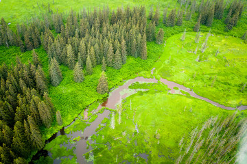 Aerial Alaskan Forest, Stream and Wetlands