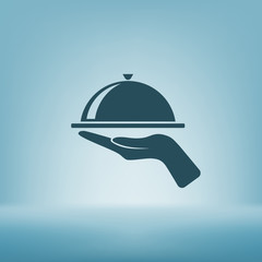 Hot proper meal plate vector icon