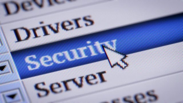 Security. My own design of program menu.