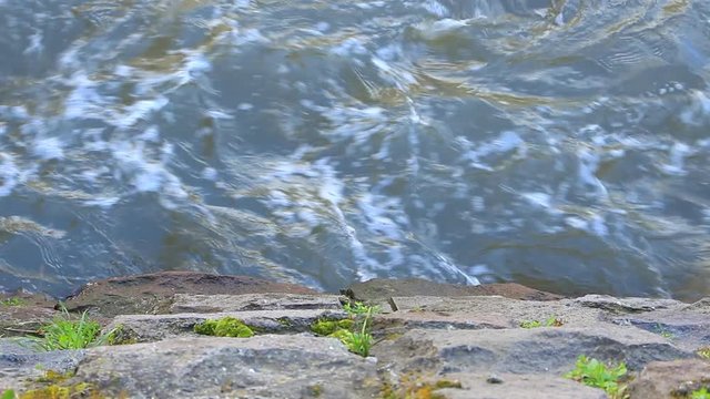 HDvideo with rocks and waves of water, closeup