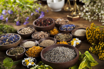 Alternative medicine, dried herbs and mortar on wooden desk back