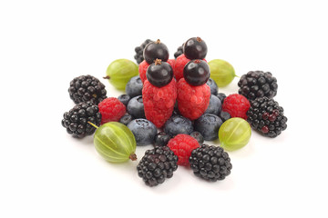 different berries on a white background