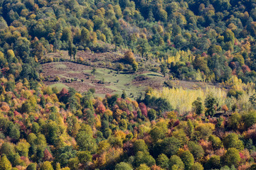 Obraz premium Autumn at Churet, Mazandaran, Iran