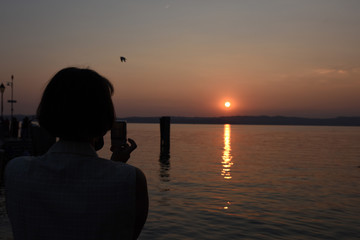 tramonto persone al tramonto guardare il tramonto cigno al tramonto mare lago estate spettacolo natura sole, 