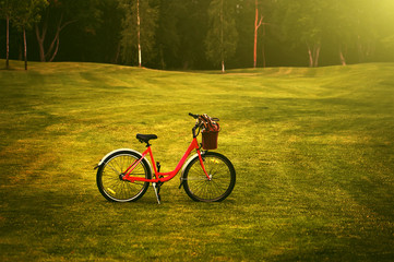 red bycicle on the field of fresh green grass, 