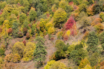 Obraz premium Autumn at Churet, Mazandaran, Iran