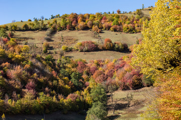 Obraz premium Autumn at Churet, Mazandaran, Iran