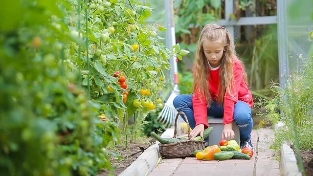 Adorable little girl gathering crop of cucumbers, pepers and tomatoes in greenhouse.