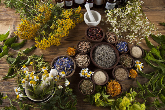 Alternative medicine, dried herbs and mortar on wooden desk back