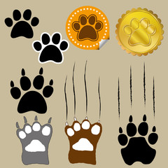 Different style of bear paws with some scratches