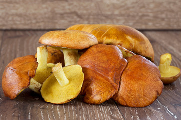 the edible mushrooms