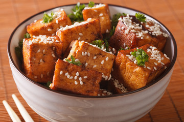 Fried tofu cheese with sesame and garlic in a bowl close-up. horizontal

