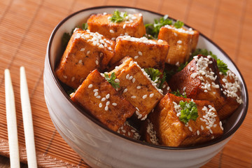 Vegetarian food: fried tofu with sesame in soy sauce close-up. horizontal
