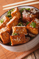 Vegetarian tofu fried with sesame and herbs in a bowl close-up. vertical
