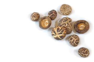 Dry shitake mushroom on white background - isolated