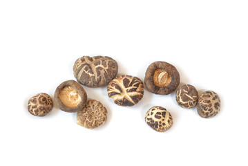 Dry shitake mushroom on white background - isolated