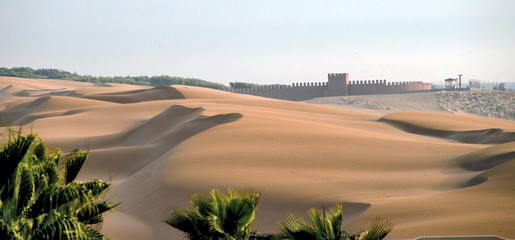 Sand landscape. Dunes of Agadir in Morocco  - obrazy, fototapety, plakaty