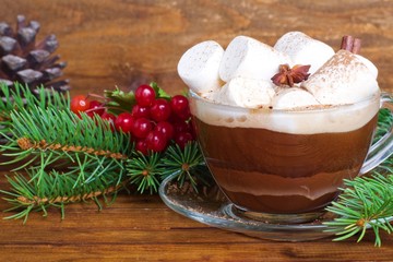  Christmas hot cocoa with marshmallow and spices.