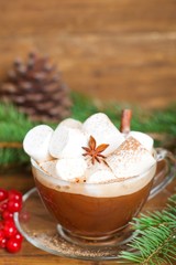 Obraz na płótnie Canvas Christmas hot cocoa with marshmallow and spices.