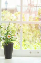 Fototapeta na wymiar Chamomile bouquet in vase with light from white window