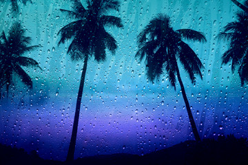 Rain drop on glass window with silhouette Palm or Coconut Tree Outside at the island