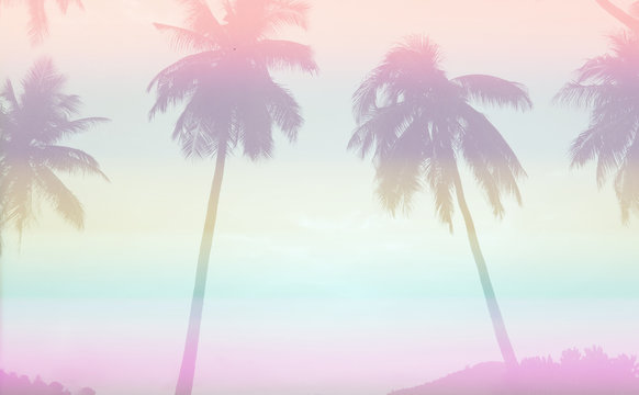 Silhouette of Tropical Coconut Trees or palm tree at the Island background, vintage filter color