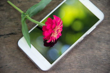 smart phone with flower on wood background.